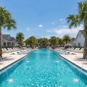 a swimming pool with palm trees